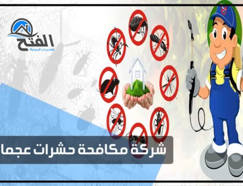 مكافحة حشرات عجمان | شركة مكافحة حشرات عجمان