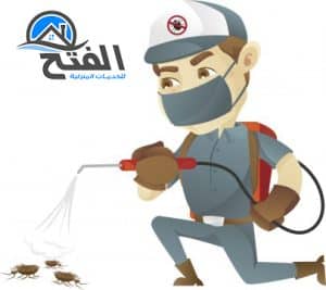 شركة مكافحة حشرات في العين