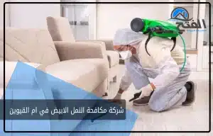 شركة مكافحة النمل الابيض في ام القيوين