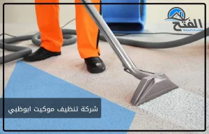 شركة تنظيف موكيت ابوظبي