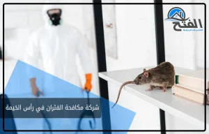 شركة مكافحة الفئران في رأس الخيمة